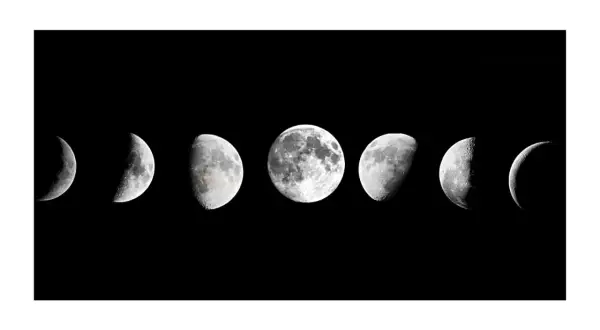 Fasi lunari, ideali per un calendario per travasare il vino.