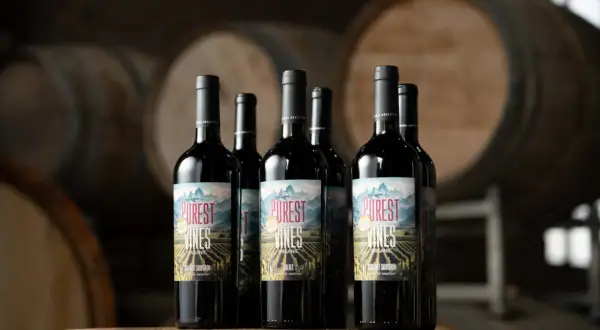 Bottiglie di vino biologico "Purest Vines" su un tavolo di legno, con botti sullo sfondo. Il vino biologico significato è un impegno per la natura.