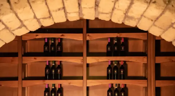 Bottiglie di vino su scaffali di legno in una cantina. Ideale per capire come conservare il vino in cantina.