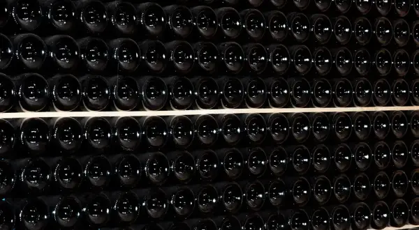 Fila di bottiglie scure, un'immagine che evoca il batonnage cos'è, la tecnica di agitazione per affinare il vino.