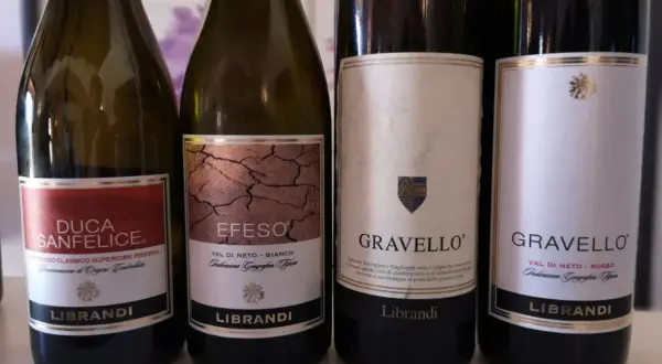 Quattro bottiglie di ottimo vino calabrese Librandi: Duca Sanfelice, Efeso, e due Gravedello.