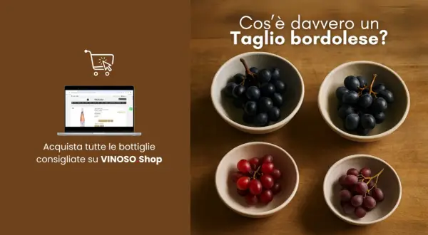 Uva nera e rossa in ciotole, con un laptop che mostra il sito VINOSO Shop. Scopri il taglio bordolese.