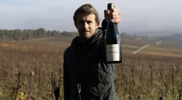 Un vigneron mostra una bottiglia di Champagne nel suo vigneto. Il significato di vigneron è un esperto nella coltivazione della vite e nella produzione di vino.