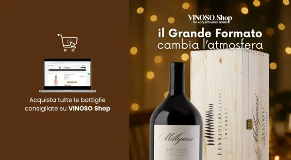 Vino in formato magnum, perfetto per le grandi occasioni. Scopri quanto pesa un magnum e acquista le tue bottiglie su VINOSO Shop.