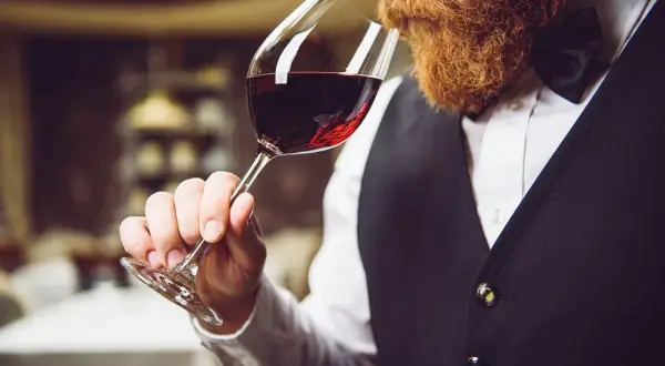 Uomo con barba assapora vino rosso, esplorando i diversi tipi di uve da vino rosso.