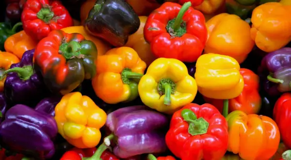 Un arcobaleno di peperoni colorati, perfetti per dare un tocco vivace alle tue ricette. Queste spezie per peperoni sono pronte per essere trasformate in piatti deliziosi.
