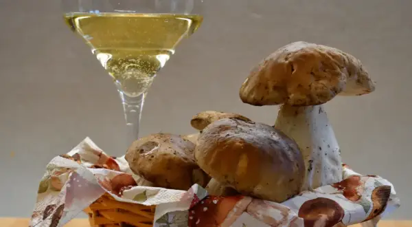 Un bicchiere di vino bianco frizzante, perfetto vino da abbinare ai funghi porcini appena raccolti in un cestino.