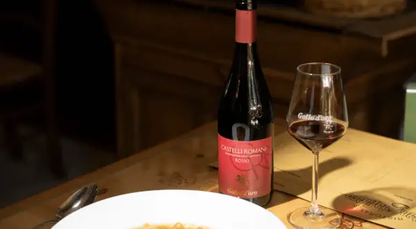 Bottiglia di vino rosso e bicchiere su un tavolo di legno, con un piatto di pasta. Consigli per come conservare il vino rosso.