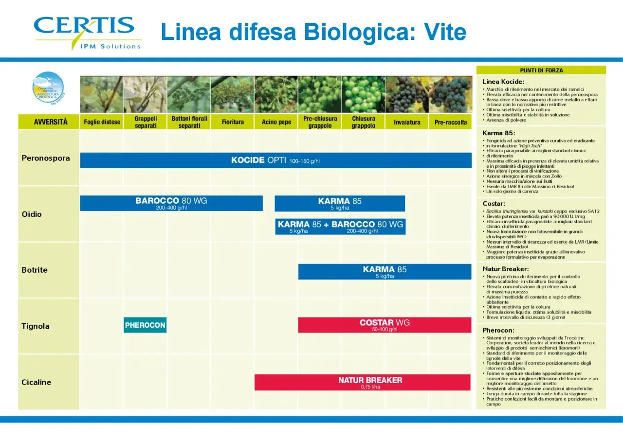 Grafico delle fasi fenologiche della vite e dei trattamenti fitosanitari biologici per peronospora, oidio, botrite, tignola e cicaline.