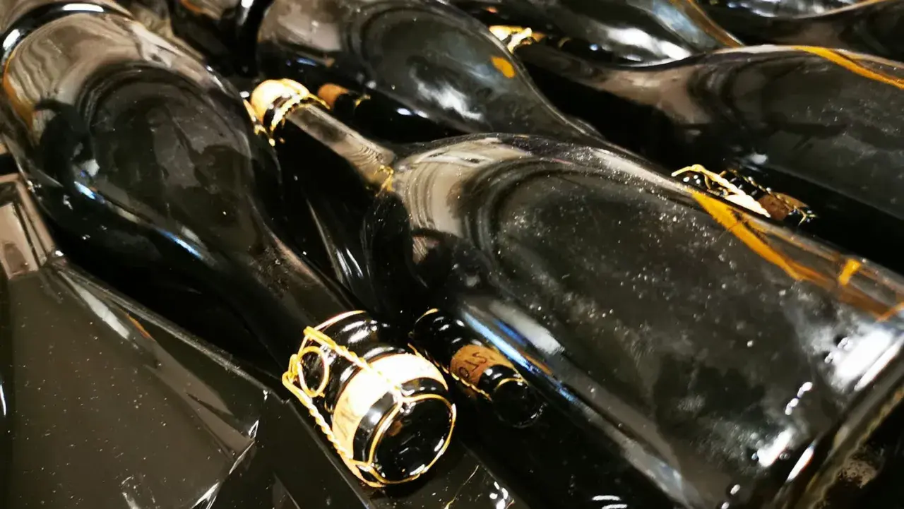 Bottiglie di vino scuro, pronte per la sboccatura. Le gabbie dorate promettono bollicine.