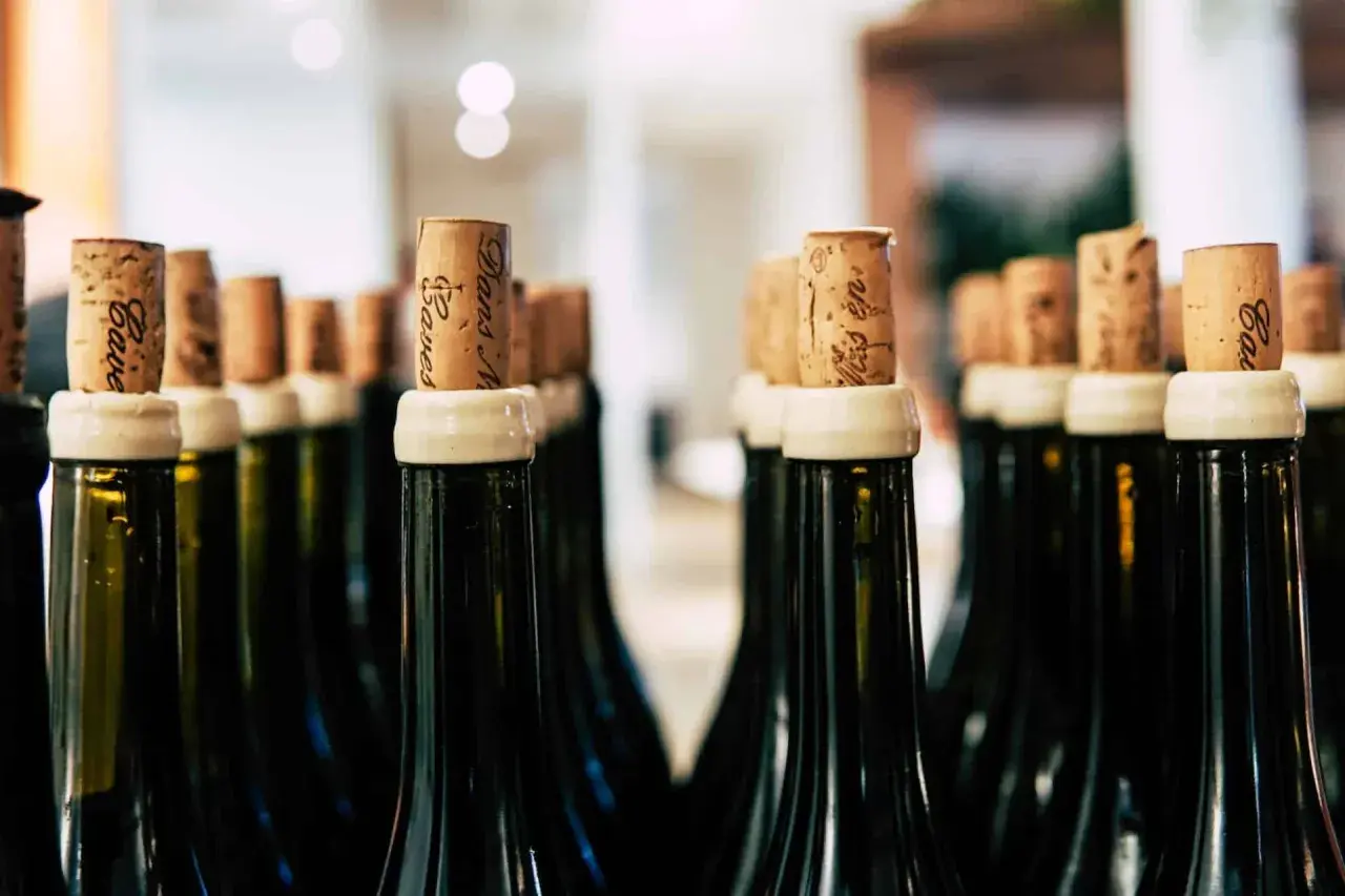 Tappi di sughero con scritte, pronti per sigillare bottiglie di vino. L'etichetta vini è un dettaglio importante.