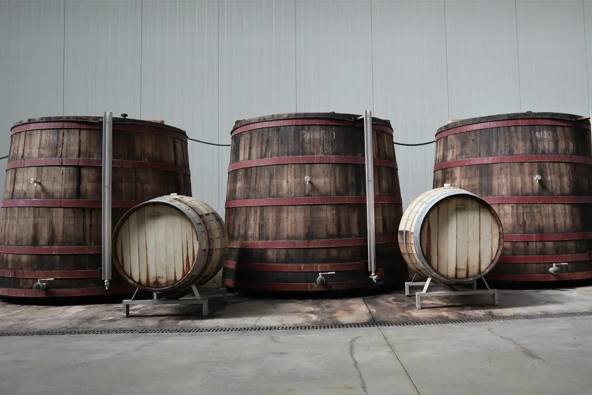 Grandi botti di legno con cerchi rossi, alcune in piedi, altre sdraiate, pronte per la maturazione sur lie.