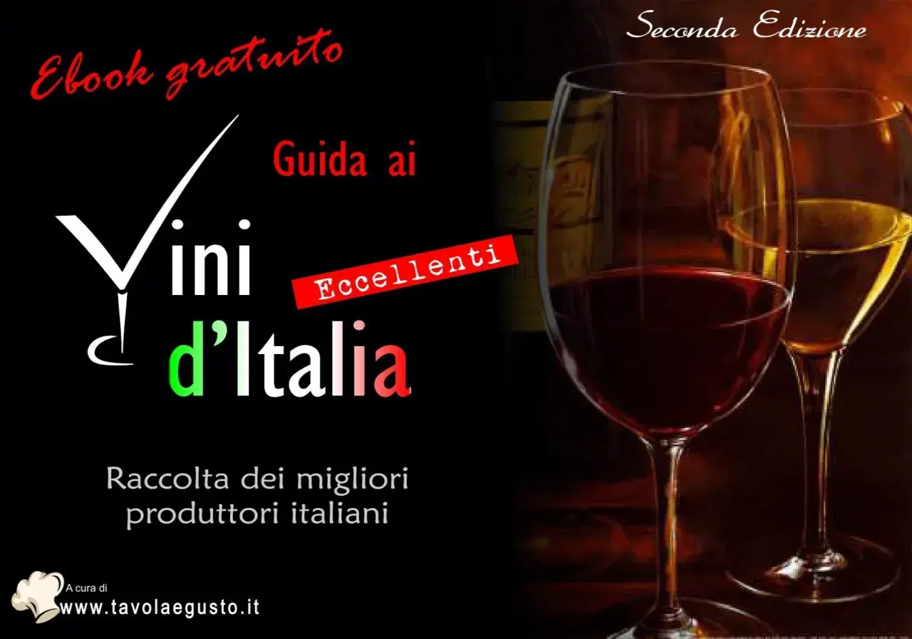 Guida ai Vini d'Italia, ebook gratuito con eccellenti produttori. Un viaggio nel rimontaggio vino italiano.