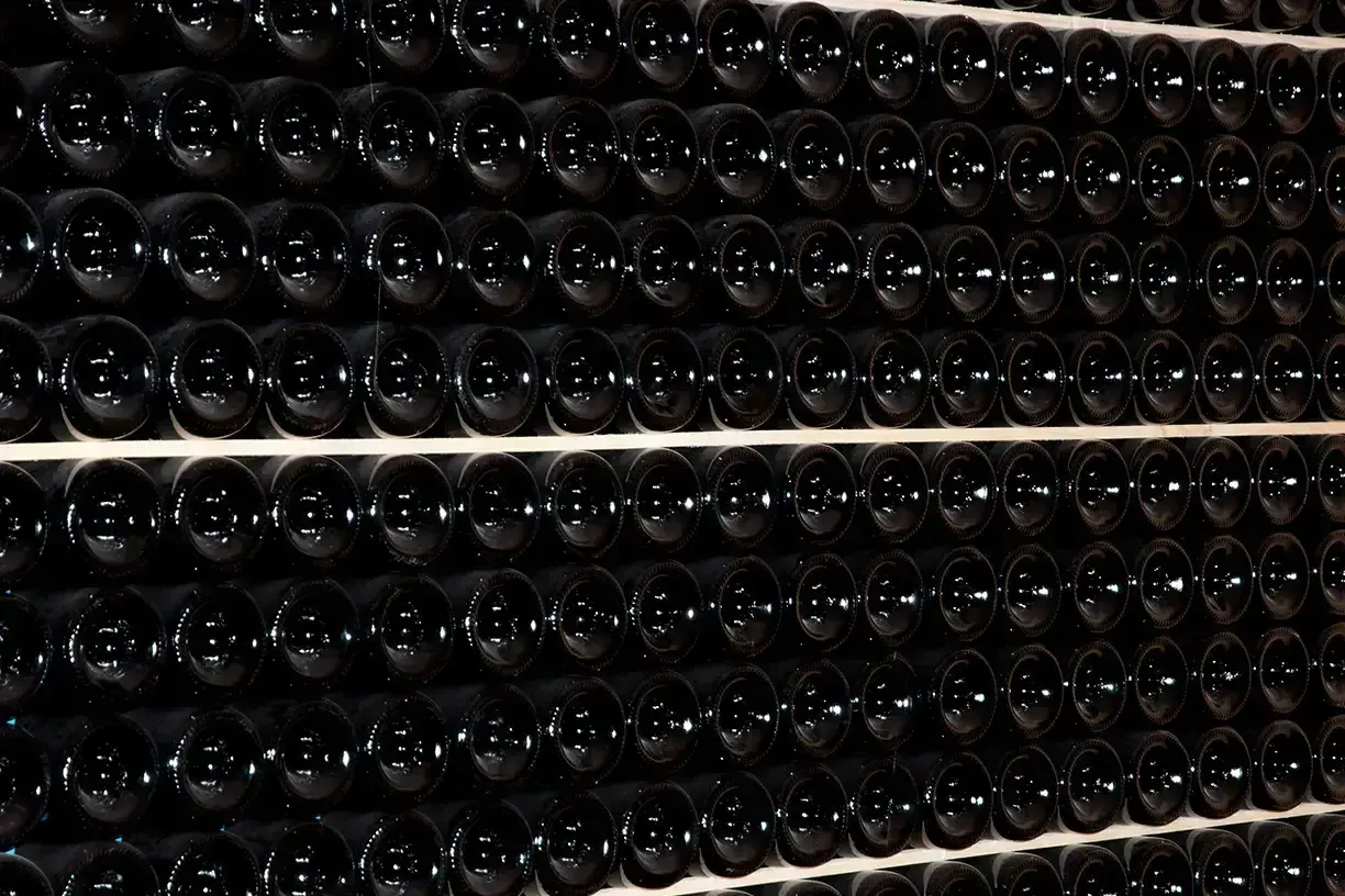 Fila di bottiglie scure, un'immagine che evoca il batonnage cos'è, la tecnica di agitazione per affinare il vino.
