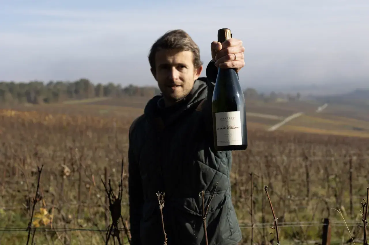 Un vigneron mostra una bottiglia di Champagne nel suo vigneto. Il significato di vigneron è un esperto nella coltivazione della vite e nella produzione di vino.