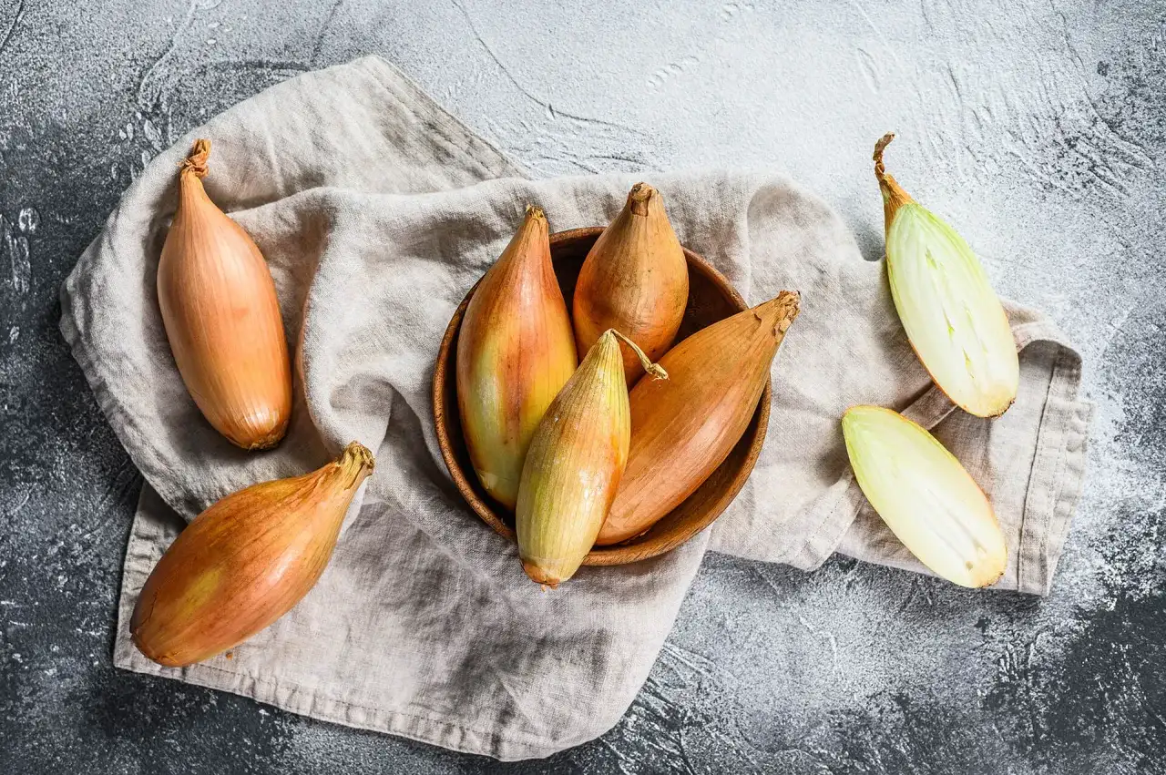 Scalogno cos'è? Cipolle allungate, dorate e verdi, alcune intere, altre tagliate a metà, su un panno di lino.