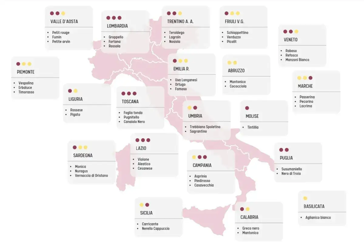 Mappa dei vitigni italiani: da nord a sud, scopri le varietà autoctone come Nebbiolo, Sangiovese e Aglianico.