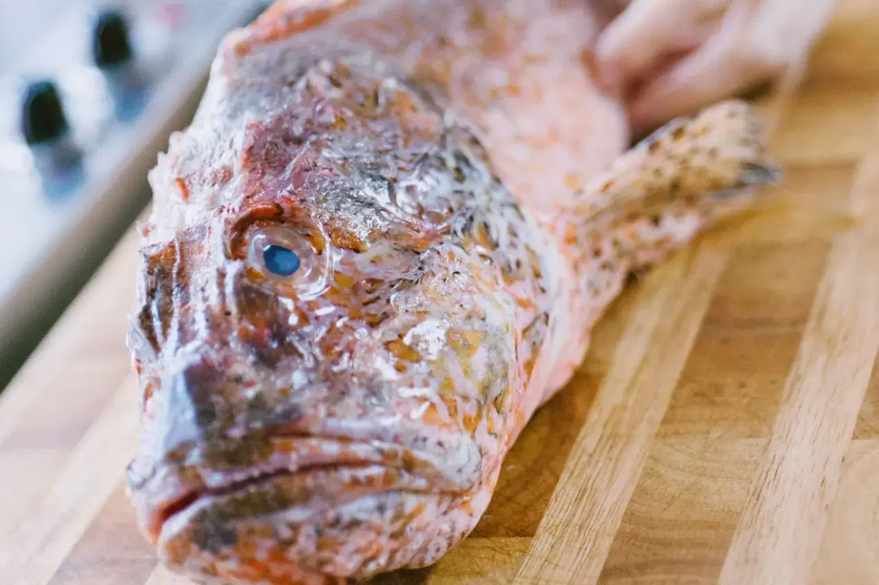 Primo piano di un pesce scorfano con occhio azzurro brillante, pronto per essere cucinato su un tagliere di legno.