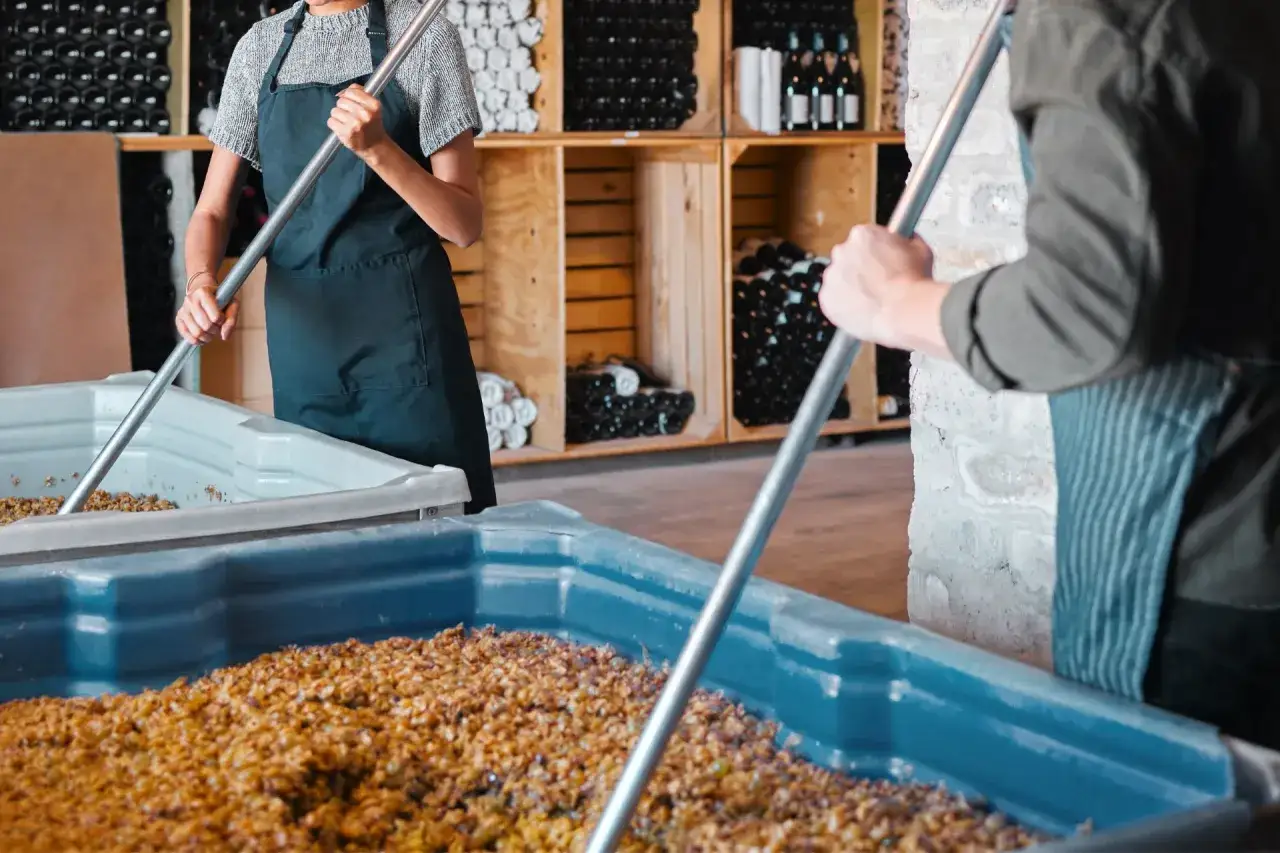 Persone con grembiuli mescolano uva pigiata in grandi vasche, parte del processo di rimontaggio vino. Scaffali pieni di bottiglie di vino sullo sfondo.