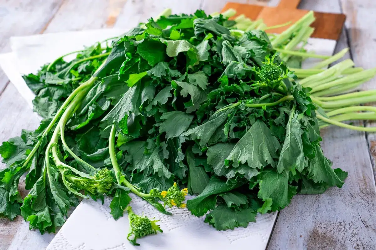 Un mazzo di cime di rapa fresche e verdi, pronte per essere cucinate.