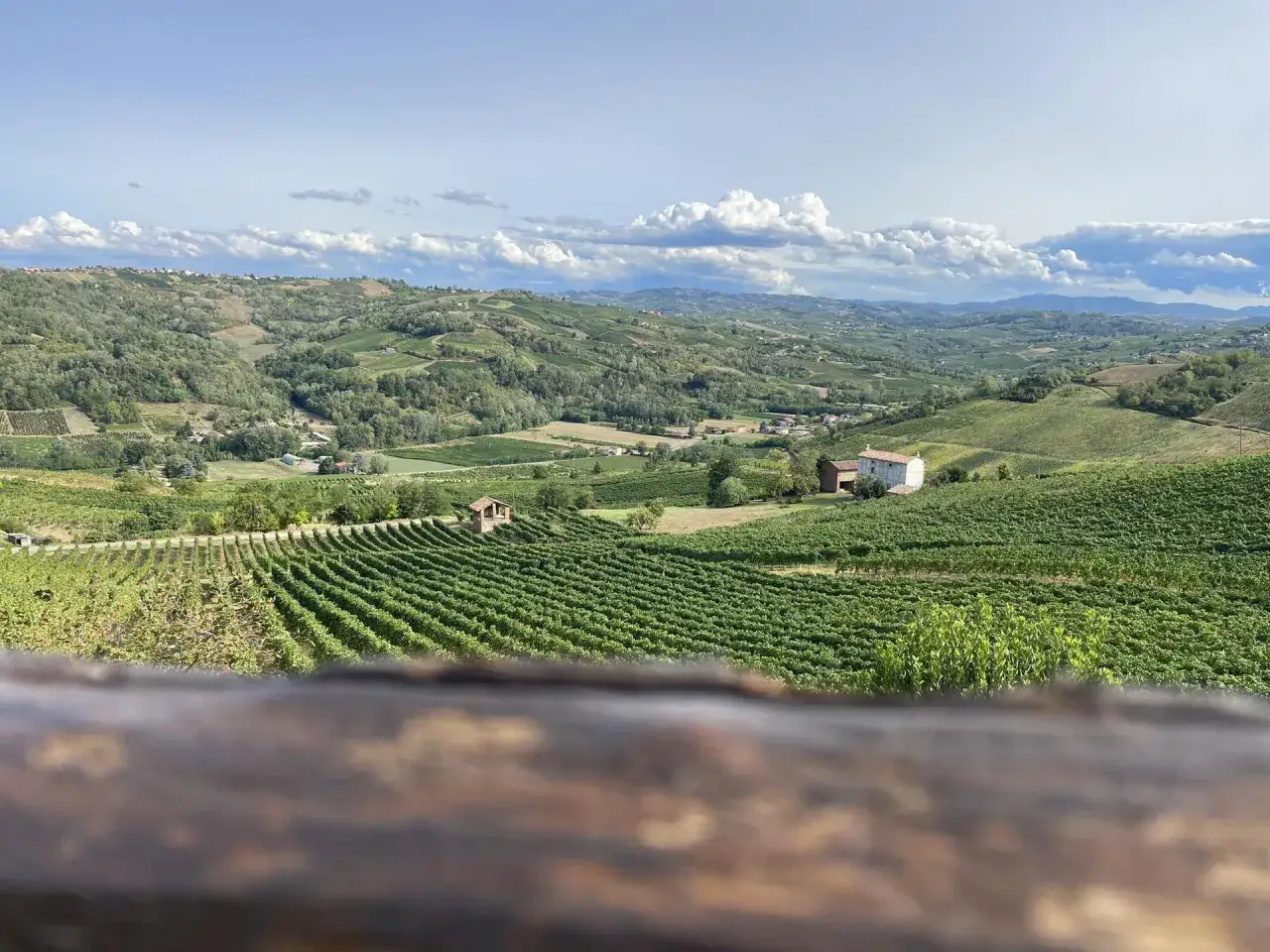 Colline verdi ondulate, vigneti rigogliosi e casolari sparsi sotto un cielo azzurro con nuvole bianche. Un paesaggio che evoca il profumo del redavalle vino.