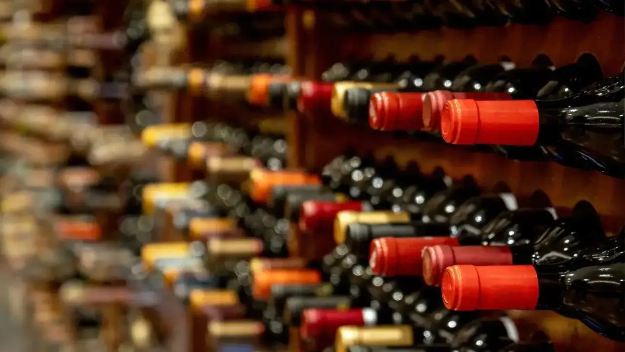 Scaffali pieni di bottiglie di vino, alcune con tappi rossi. Chissà se il vino scade, ma l'attesa per l'assaggio è lunga.