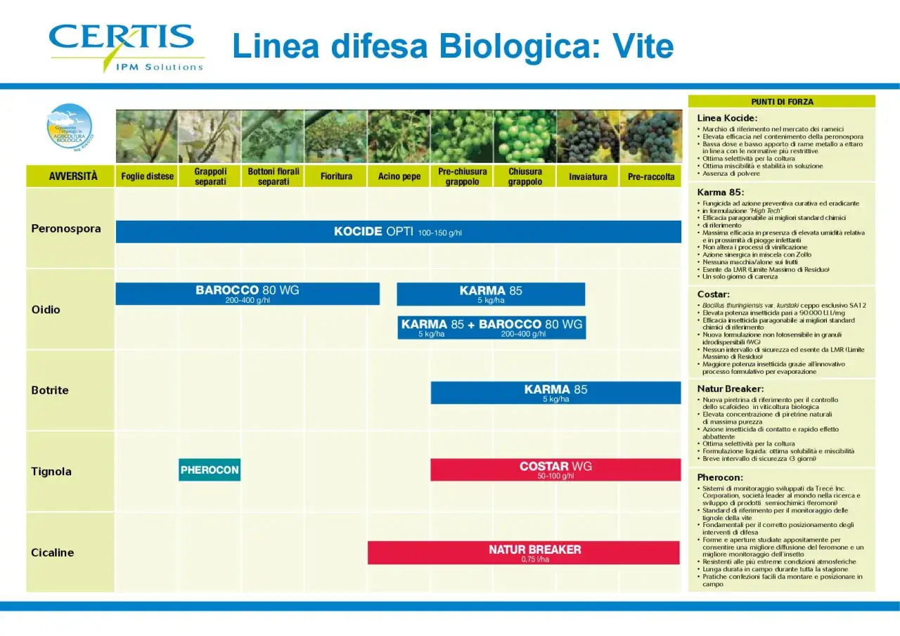 Grafico delle fasi fenologiche della vite: Peronospora, Oidio, Botrite, Tignola, Cicaline con prodotti e dosaggi.