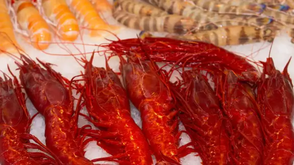 Un banco di freschi crostacei quali sono: gamberi rossi brillanti e gamberi tigrati, adagiati sul ghiaccio.