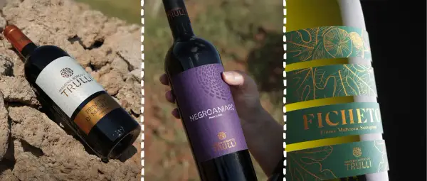 Bottiglie di vino pugliese: Primitivo, Negroamaro e Ficheto. Un viaggio sensoriale tra i sapori autentici della Puglia.