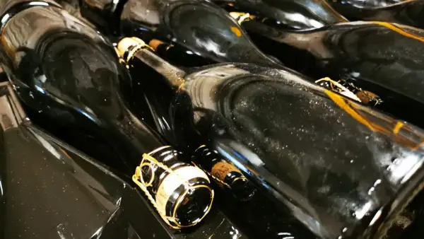 Bottiglie di vino scuro, pronte per la sboccatura. Le gabbie dorate promettono bollicine.