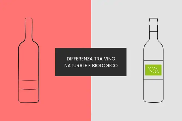 Bottiglia di vino naturale vs biologico. Scopri cosa sono i vini naturali e le loro differenze.