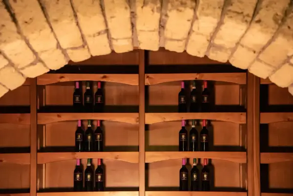 Bottiglie di vino su scaffali di legno in una cantina. Ideale per capire come conservare il vino in cantina.
