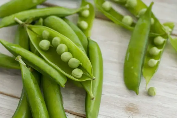 Baccelli di piselli freschi, alcuni aperti, rivelano i loro chicchi verdi. I piselli sono legumi nutrienti, perfetti per un pasto sano.