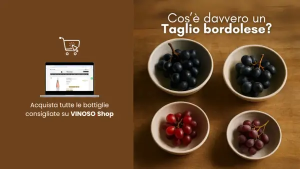 Uva nera e rossa in ciotole, con un laptop che mostra il sito VINOSO Shop. Scopri il taglio bordolese.