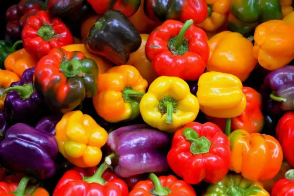 Un arcobaleno di peperoni colorati, perfetti per dare un tocco vivace alle tue ricette. Queste spezie per peperoni sono pronte per essere trasformate in piatti deliziosi.
