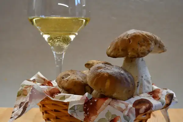 Un bicchiere di vino bianco frizzante, perfetto vino da abbinare ai funghi porcini appena raccolti in un cestino.